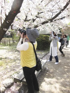 ワンコイン撮影会　フォトスクール　デジカメ講座　写真教室　ワンデイスクール　0358