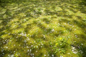 福岡　フォトスクール　写真教室　デジカメ講座　ロケ撮　写真の撮り方　0358