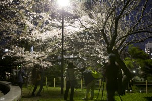 フォトスクール　福岡　写真教室　デジカメ講座　出張撮影　イベント撮影　0358