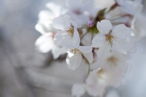 フォトスクール　福岡　写真教室　デジカメ講座　出張撮影　イベント撮影　0358