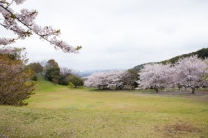 福岡　ロケ撮　出張撮影　フォトスタジオ　写真教室　フォトスクール　結婚式の写真　0358