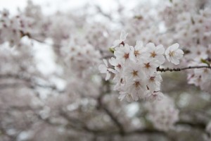 福岡　ロケ撮　出張撮影　フォトスタジオ　写真教室　フォトスクール　結婚式の写真　0358