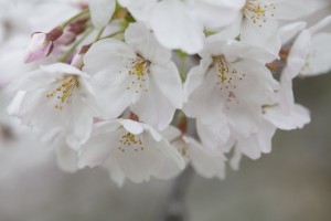 福岡　ロケ撮　出張撮影　フォトスタジオ　写真教室　フォトスクール　結婚式の写真　0358