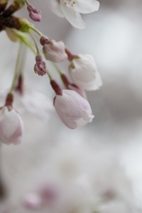 福岡　ロケ撮　出張撮影　フォトスタジオ　写真教室　フォトスクール　結婚式の写真　0358