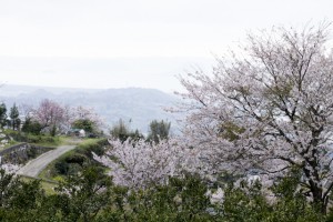 福岡　ロケ撮　出張撮影　フォトスタジオ　写真教室　フォトスクール　結婚式の写真　0358