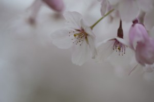 福岡　ロケ撮　出張撮影　フォトスタジオ　写真教室　フォトスクール　結婚式の写真　0358