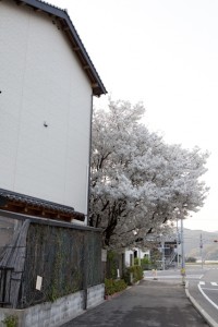 福岡　ロケ撮　出張撮影　フォトスタジオ　写真教室　フォトスクール　結婚式の写真　0358