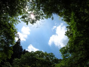 福岡　フォトスクール　写真教室　撮影会　デジカメ教室　0358　